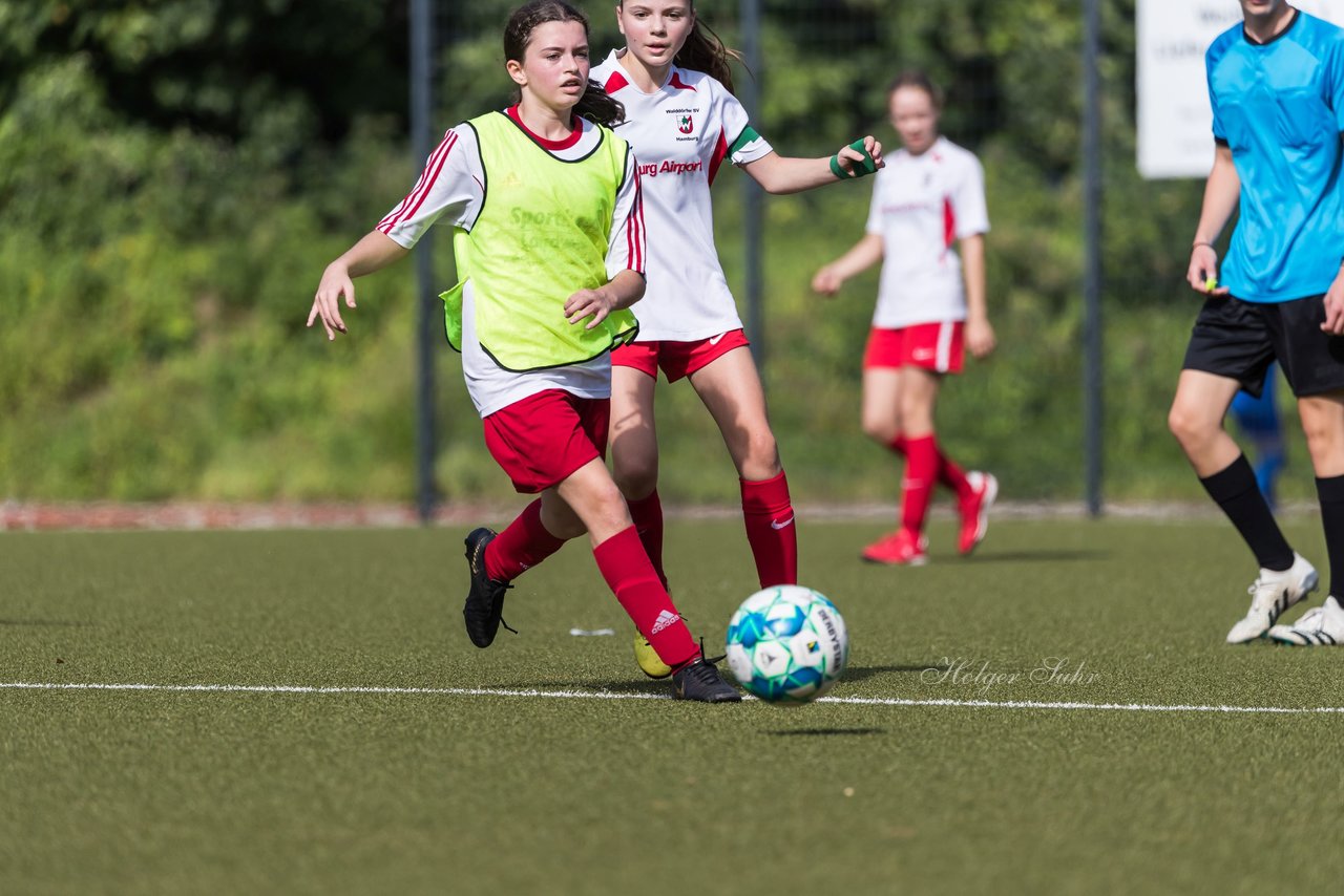 Bild 190 - wCJ Walddoerfer - Concordia : Ergebnis: 0:1